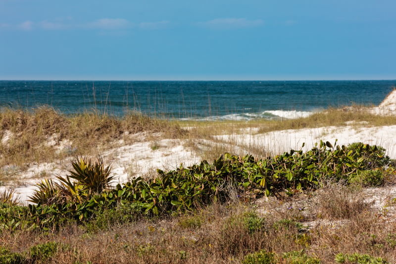 View from sand dunes at Topsail Park in Santa Rosa Beach