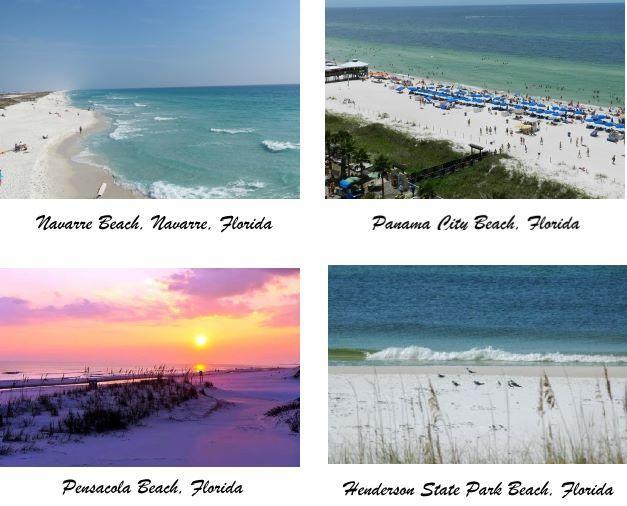 3x5 inch Oval Emerald Coast Sticker Florida fl Coast Gulf Beach sea 