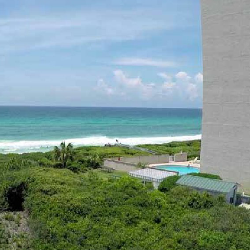 View from unit 204 at Thirty One condos